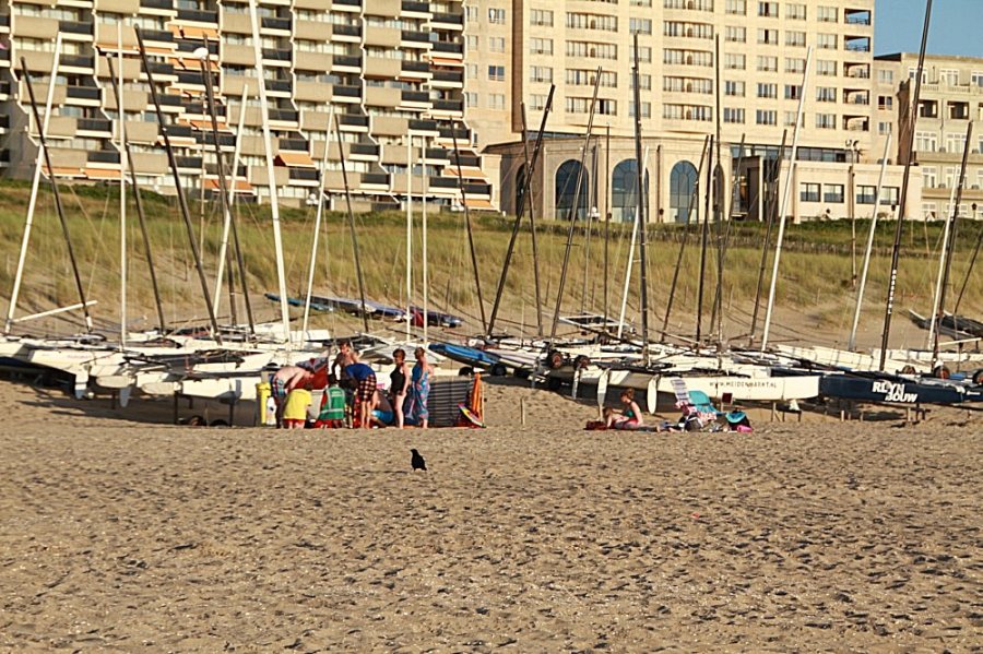 Man onwel op strand nabij de zeilvereniging